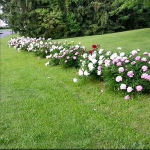 Meet your Posher, Linda